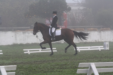 XXXV – FEIRA NACIONAL DO CAVALO – GOLEGÃ 2010