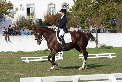 XXXV – FEIRA NACIONAL DO CAVALO – GOLEGÃ 2010