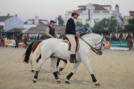10-11-20101 CAVALO VER 1 CAVALO ADQUIRIR(ANTONIO SANTOS)