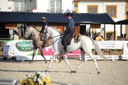 XXXV – FEIRA NACIONAL DO CAVALO – GOLEGÃ 2010