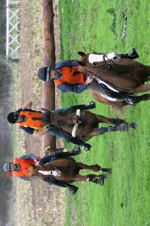 XXXV – FEIRA NACIONAL DO CAVALO – GOLEGÃ 2010