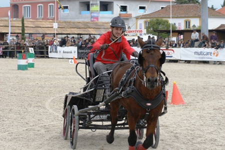 XXXV – FEIRA NACIONAL DO CAVALO – GOLEGÃ 2010