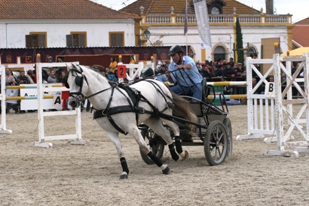 XXXV – FEIRA NACIONAL DO CAVALO – GOLEGÃ 2010