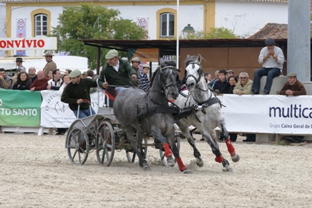 XXXV – FEIRA NACIONAL DO CAVALO – GOLEGÃ 2010