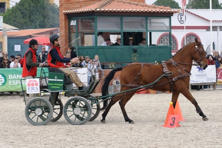 XXXV – FEIRA NACIONAL DO CAVALO – GOLEGÃ 2010