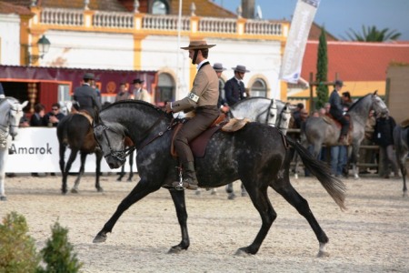 XXXV – FEIRA NACIONAL DO CAVALO – GOLEGÃ 2010