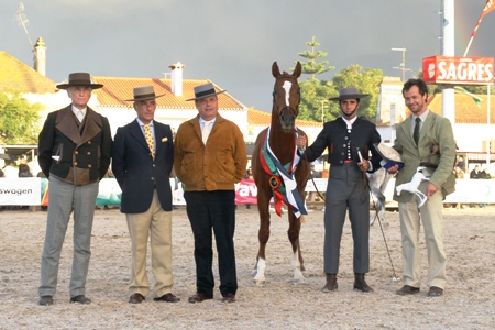 XXXV – FEIRA NACIONAL DO CAVALO – GOLEGÃ 2010