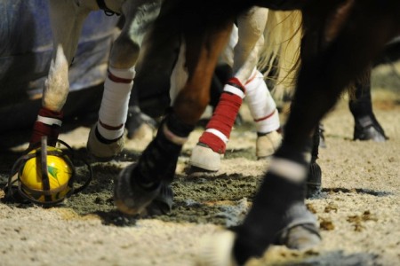 XXXV – FEIRA NACIONAL DO CAVALO – GOLEGÃ 2010