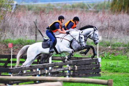 XXXV – FEIRA NACIONAL DO CAVALO – GOLEGÃ 2010