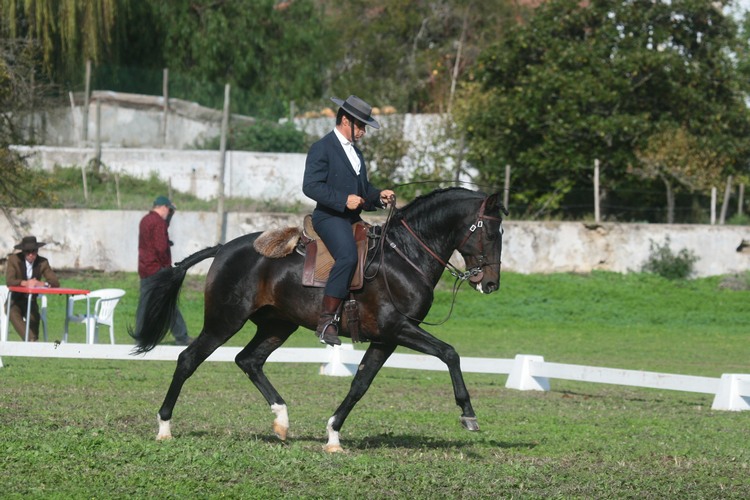 XXXV – FEIRA NACIONAL DO CAVALO – GOLEGÃ 2010