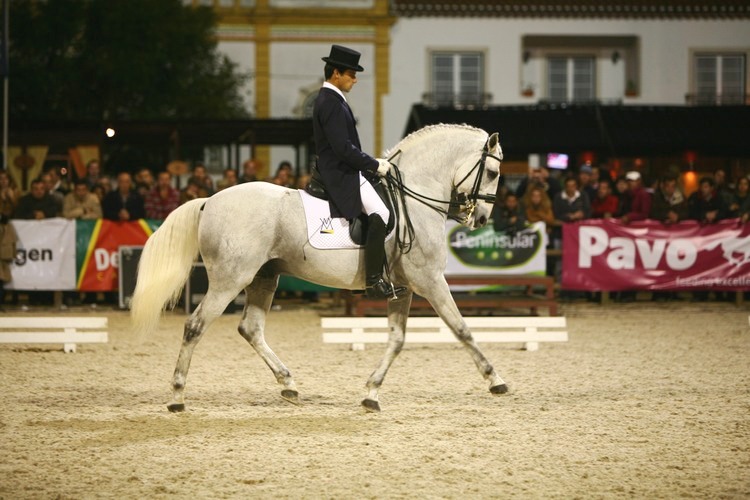 XXXV – FEIRA NACIONAL DO CAVALO – GOLEGÃ 2010
