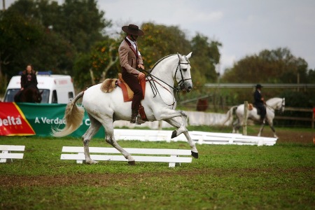 XXXV – FEIRA NACIONAL DO CAVALO – GOLEGÃ 2010