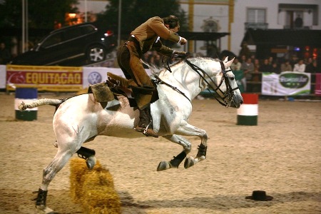XXXV – FEIRA NACIONAL DO CAVALO – GOLEGÃ 2010