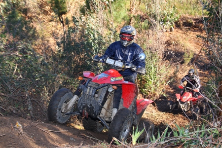 QUADS(FERNANDO CASTANHO)