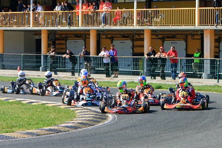 KARTING – ROTAX WINTER SERIES 2011 FATIMA