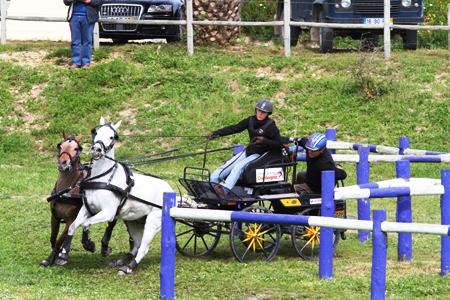 ATRELAGEM -IX TAÇA IBERICA DE ATRELAGEM 2011 – COMPANHIA DAS LEZIRIAS
