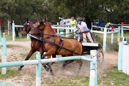 MARATONA2 CAVALOS(FERNANDO CASTANHO)