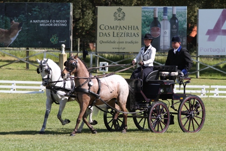 ATRELAGEM -IX TAÇA IBERICA DE ATRELAGEM 2011 – COMPANHIA DAS LEZIRIAS