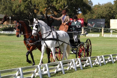 ATRELAGEM -IX TAÇA IBERICA DE ATRELAGEM 2011 – COMPANHIA DAS LEZIRIAS