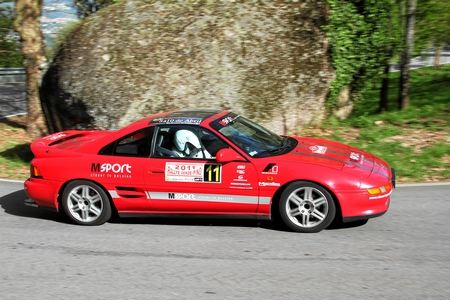 RALLYE VERDE-PINO 2011