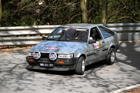 RALLYE VERDE-PINO 2011