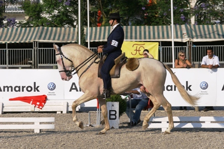 EXPOEGUA 2011 -GOLEGÃ