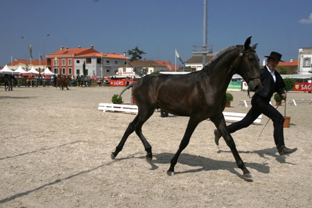 EXPOEGUA 2011 -GOLEGÃ