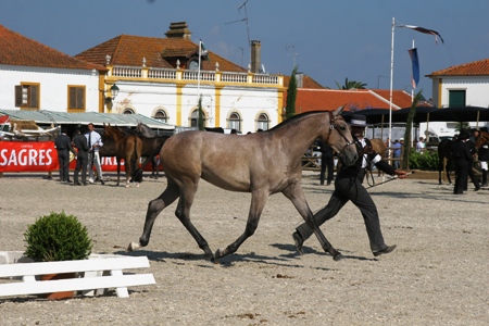 EXPOEGUA 2011 -GOLEGÃ