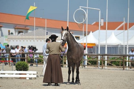 EXPOEGUA 2011 -GOLEGÃ