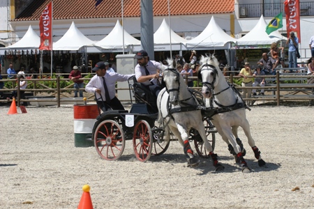 EXPOEGUA 2011 -GOLEGÃ