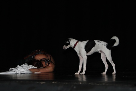ESPAÇO IDANÇA – O OITAVO BAILARINO – TEATRO DE SÃO PEDRO 2011