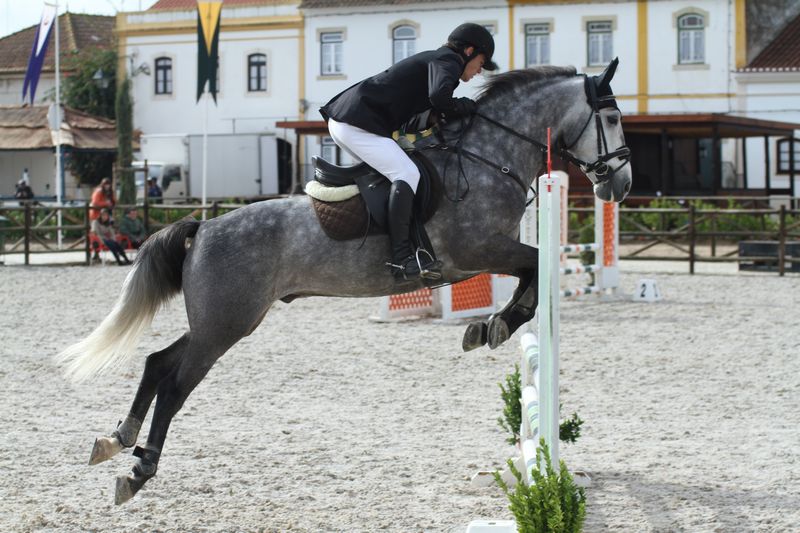 XXXVI – FEIRA NACIONAL DO CAVALO 2011