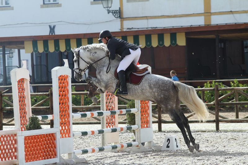 XXXVI – FEIRA NACIONAL DO CAVALO 2011