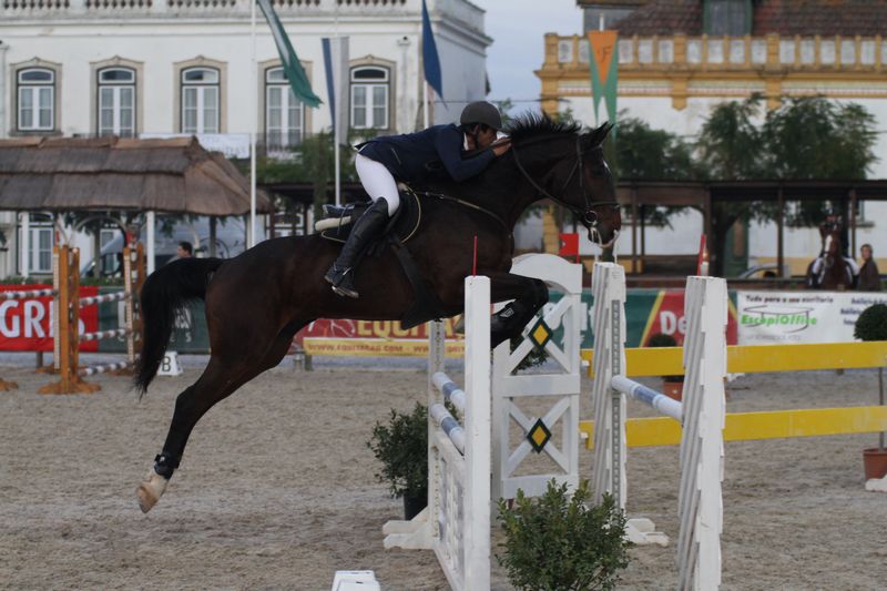 XXXVI – FEIRA NACIONAL DO CAVALO 2011