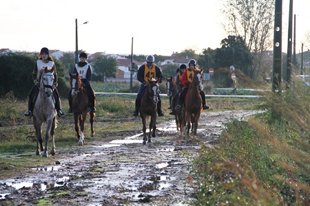 XXXVI – FEIRA NACIONAL DO CAVALO 2011