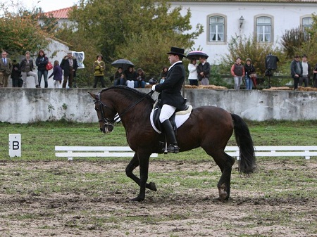 XXXVI – FEIRA NACIONAL DO CAVALO 2011