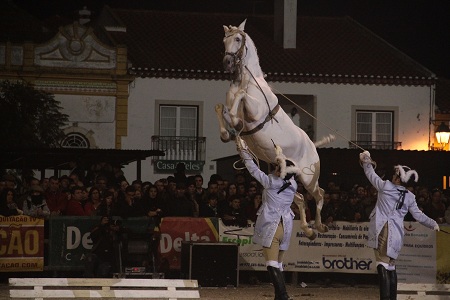10-11-2011 – QUINTA FEIRAESPECTACULO CENTRO EQUESTRE DA LEZIRIA GRANDE(FERNANDO CASTANHO)