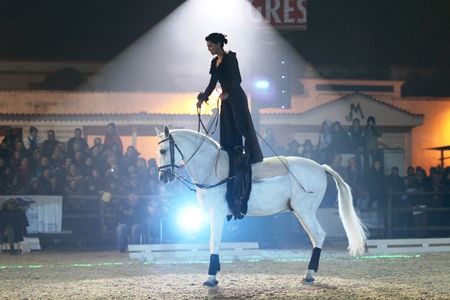 10-11-2011 – QUINTA FEIRAESPECTACULO CENTRO EQUESTRE DA LEZIRIA GRANDE(JOSÉ BAPTISTA)