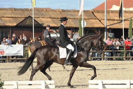 XXXVI – FEIRA NACIONAL DO CAVALO 2011