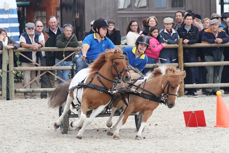 XXXVI – FEIRA NACIONAL DO CAVALO 2011