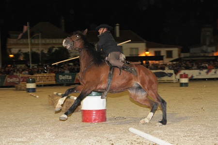 XXXVI – FEIRA NACIONAL DO CAVALO 2011