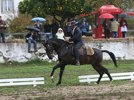 XXXVI – FEIRA NACIONAL DO CAVALO 2011