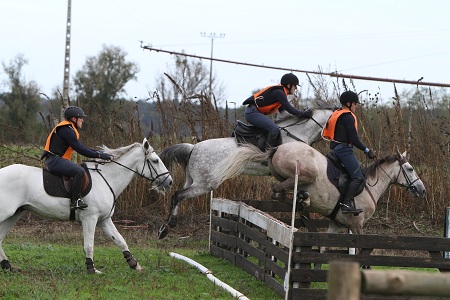 XXXVI – FEIRA NACIONAL DO CAVALO 2011