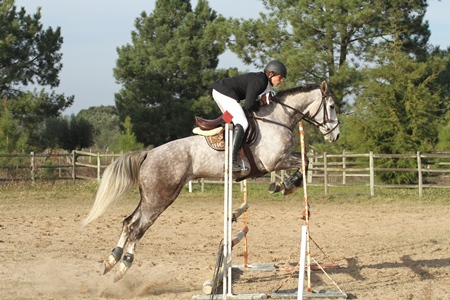 1.00 M