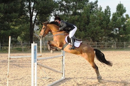 1.10 M