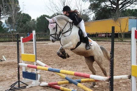 HIPISMO – POULE HIPICA -CENTRO HIPICO ST. BARBARA – CONSTÂNCIA 12/2011