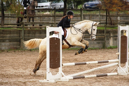 50 CM(JOSÉ BAPTISTA)