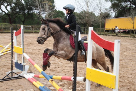 HIPISMO – POULE HIPICA -CENTRO HIPICO ST. BARBARA – CONSTÂNCIA 12/2011