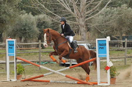 HIPISMO – ROTA DO TEJO 2012 – 3ª PROVA – CENTRO EQUESTRE DE ABRANTES