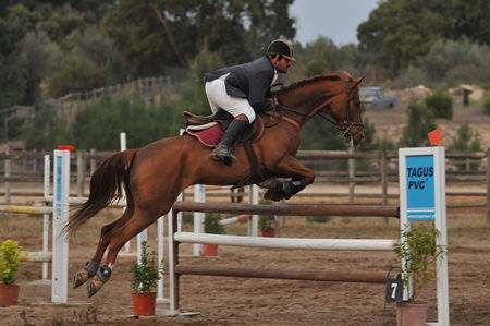 HIPISMO – ROTA DO TEJO 2012 – 3ª PROVA – CENTRO EQUESTRE DE ABRANTES